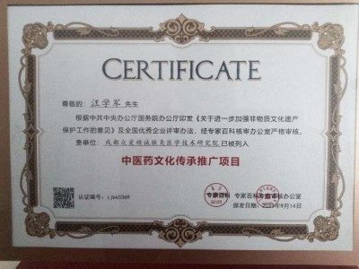 庆祝中国人民解放军98周年 中国当代名医——汪学军