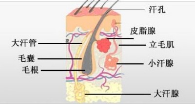 庆祝中国人民解放军98周年 中国当代名医——汪学军