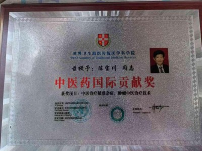 陈宝川：以仁心仁术守护中医瑰宝用创新传承铸就时代华章