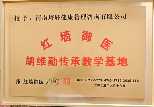 党旗下的风采 国宝级中医——张培轩