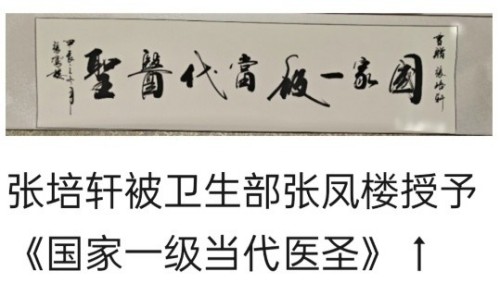 党旗下的风采 国宝级中医——张培轩