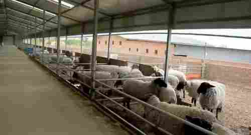 阅兵展国威•文化铸灵魂—— 榆阳区领头雁——思耀国