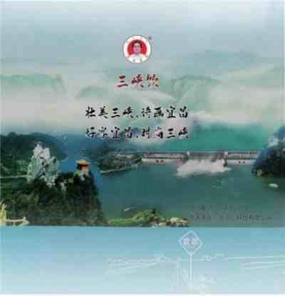 中国医学形象代言人  民族复兴的人民功臣——-张延德 和光同尘张延德觉者