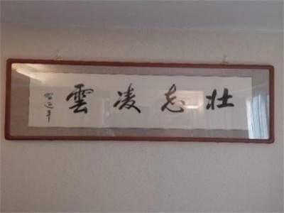 中国医学形象代言人  民族复兴的人民功臣——-张延德 和光同尘张延德觉者