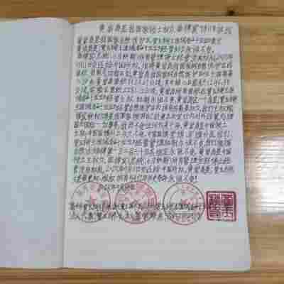 承古耀今最具创新魅力的艺术家——贾玉柳