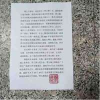 承古耀今最具创新魅力的艺术家——贾玉柳