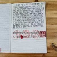 承古耀今最具创新魅力的艺术家——贾玉柳