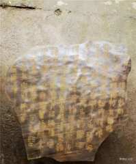 世界中医药联合会 传统医学博士 —— 马忠义院长