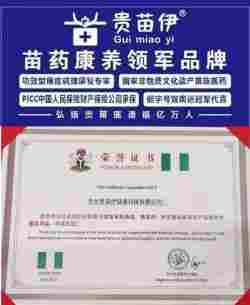 何先敏引领贵苗伊：以苗医匠心守正创新，用调理智慧谱写民族医药新篇