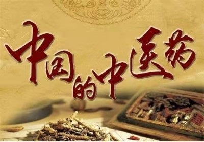 中国最美名中医 中国当代名医 —— 赵秀花