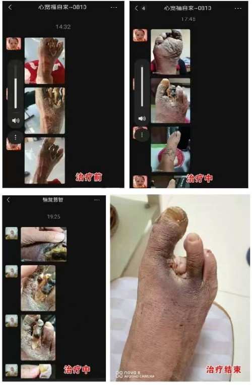 医道同源 慧慈济世 悟慧慈智法师的中医药文化传承之路