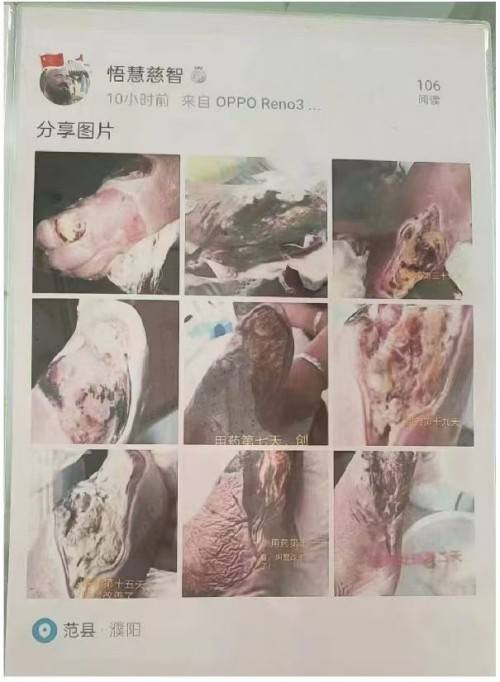 医道同源 慧慈济世 悟慧慈智法师的中医药文化传承之路