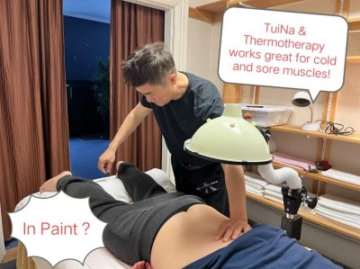 中医走向世界——刘秦鄂