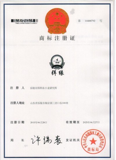 麦海逐梦守初心 科技兴农担使命 ——记小麦育种专家弭尚岭的奋斗征程