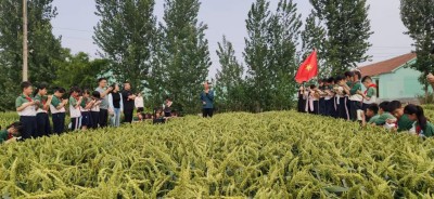 麦海逐梦守初心 科技兴农担使命 ——记小麦育种专家弭尚岭的奋斗征程