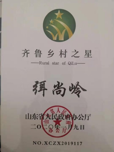 麦海逐梦守初心 科技兴农担使命 ——记小麦育种专家弭尚岭的奋斗征程
