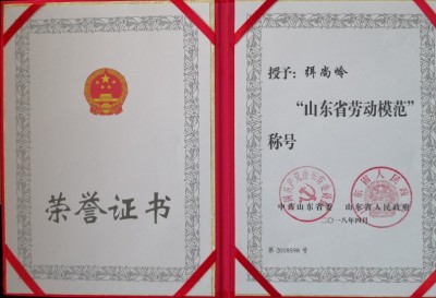 麦海逐梦守初心 科技兴农担使命 ——记小麦育种专家弭尚岭的奋斗征程