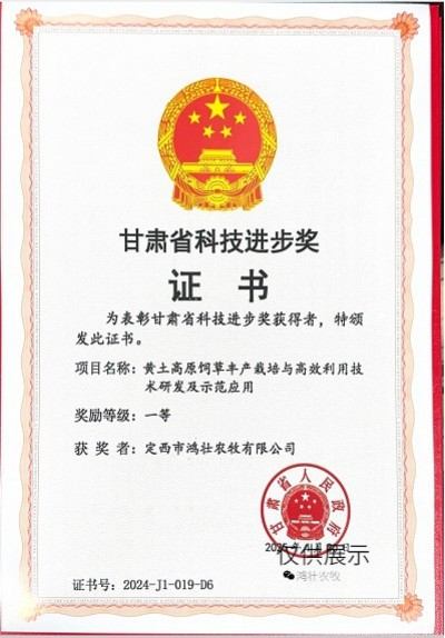 鸿壮农牧创始人李杰，扎根乡土，以“羊”为笔绘振兴