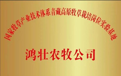 鸿壮农牧创始人李杰，扎根乡土，以“羊”为笔绘振兴