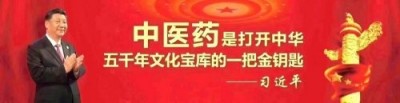 中医药文化全球推广大使——马青
