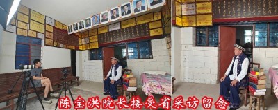 陈宝洪： 探寻中医魅力