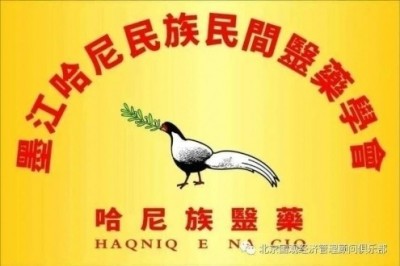 陈宝洪： 探寻中医魅力