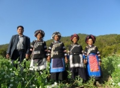 陈宝洪： 探寻中医魅力