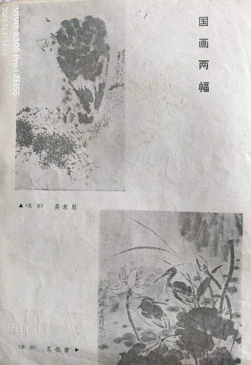 【诺贝尔奖孵化中心会客厅】 四十载翰墨缘，一刊识英才。 《典雅隽永版》