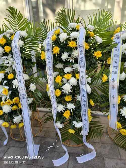 【诺贝尔奖孵化中心会客厅】 【乡宗贤达致敬，彰显氏族荣光】