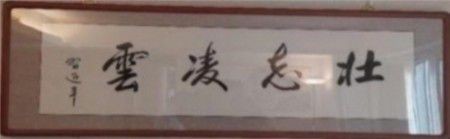 齐天圣医健康系列降落中国 中华帝国健康万岁