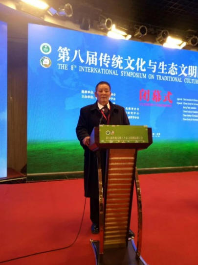 喜迎2026元旦 人物贺岁 特别报道 易学风水名家——金大琳